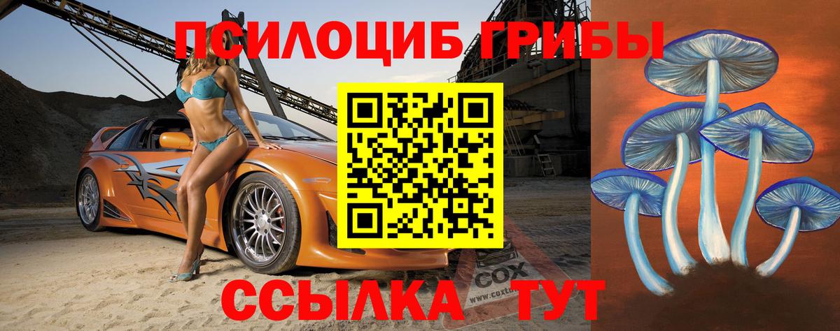 Касимов  Галлюциногенные грибы Cubensis  Вход с VPN 